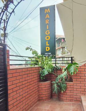 gallery-img