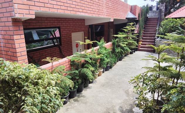 gallery-img
